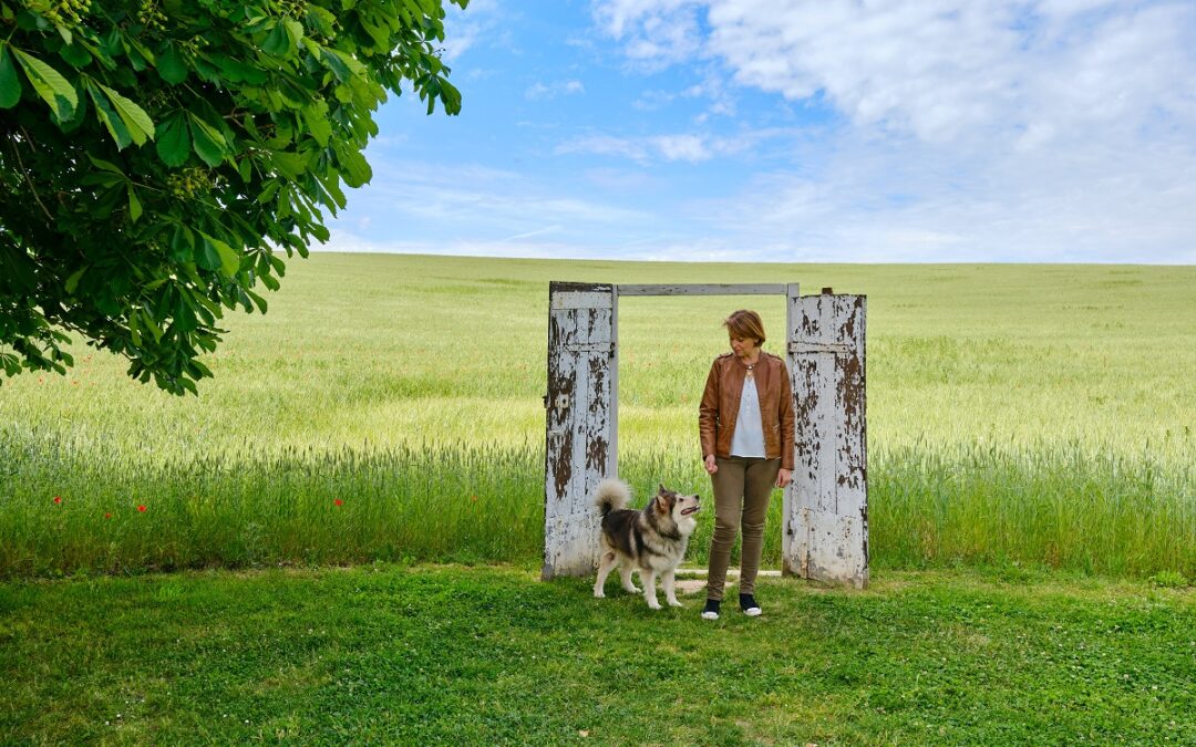 education canine bienveillante